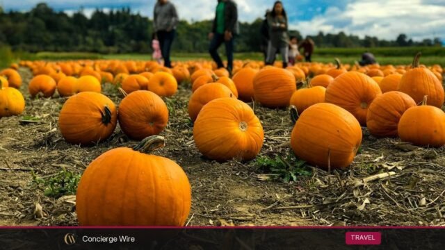Fall Bucket List 2026: 40 Things to Do This Autumn in the US