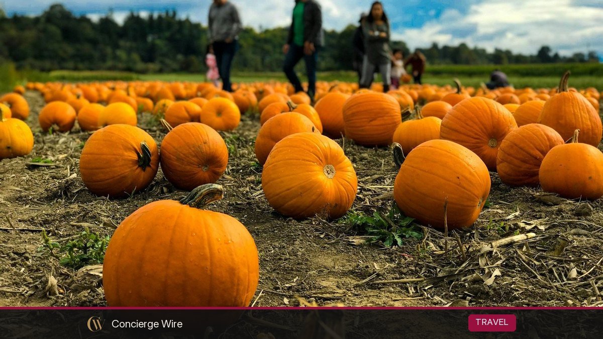 Fall Bucket List 2026: 40 Things to Do This Autumn in the US