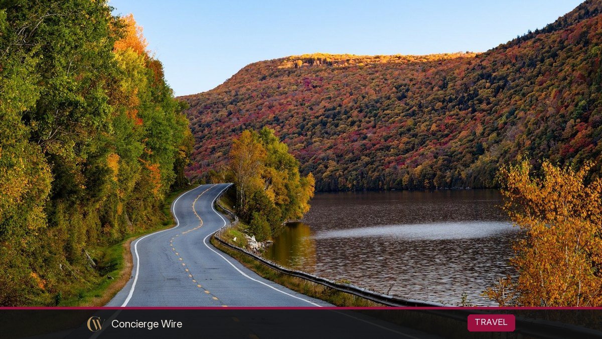 Best Fall Foliage Road Trips in the USA (With Peak Timing by Region)