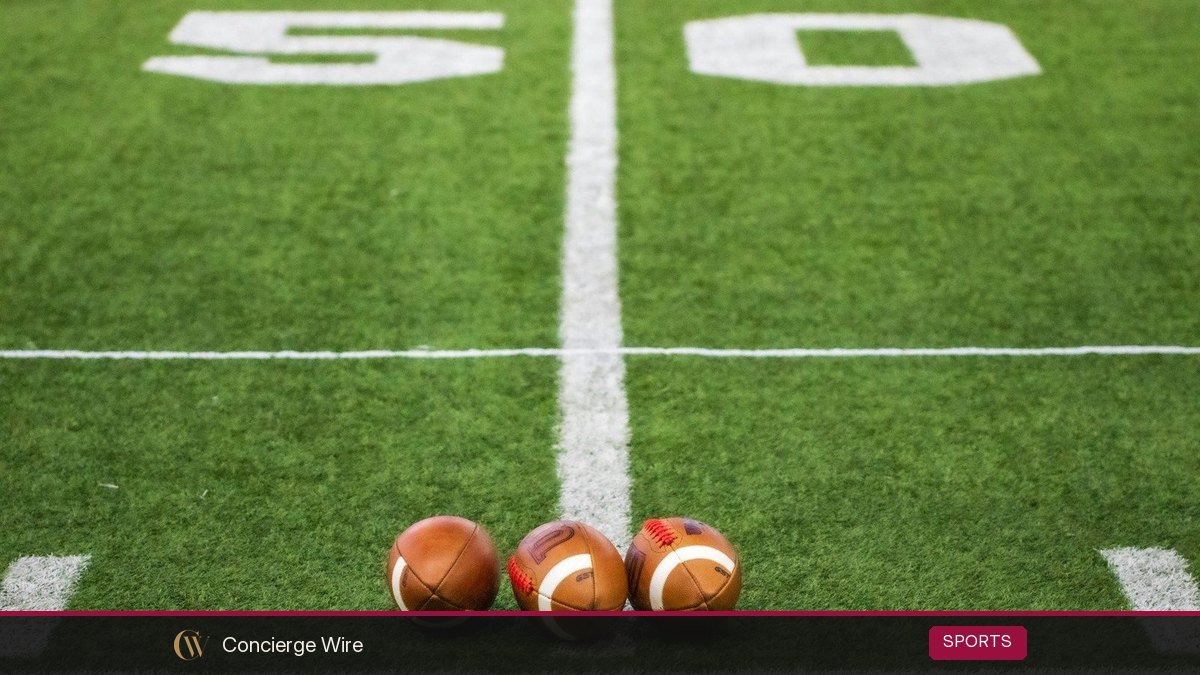 Fantasy Football for Beginners: How to Draft, Set Lineups and Win