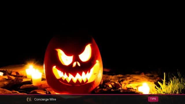 30 Pumpkin Carving Ideas for Halloween 2026, Easy to Advanced