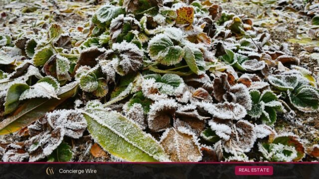 How to Winterize Your Garden and Yard Before the First Frost